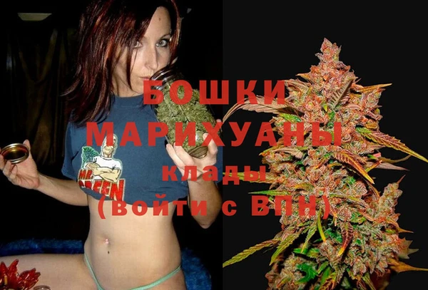 не бодяженный Ельня