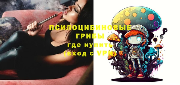 шишки Елабуга