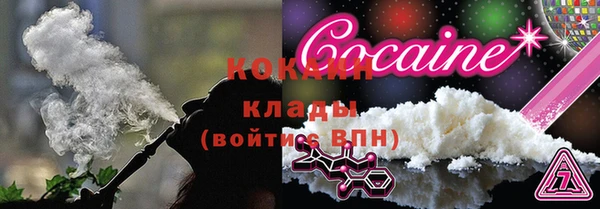 шишки Елабуга