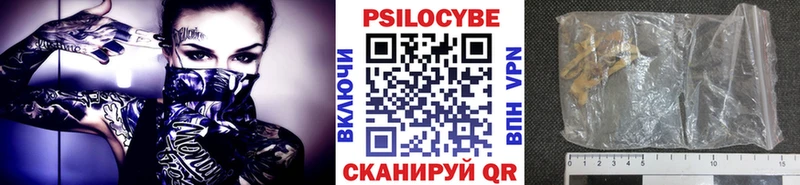купить наркоту  Пересвет  мориарти клад  Галлюциногенные грибы MAGIC MUSHROOMS 